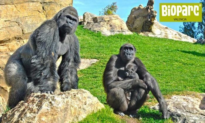 Bioparc Metro Valencia Apartman Kültér fotó